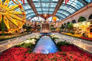 Bellagio Conservatory & Botanical Garden 4 Bellagio Conservatory & Botanical Garden 1